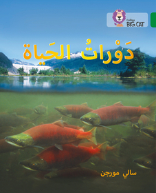 Collins Big Cat Arabic Reading Programme — LIFE CYCLES: Level 15: Level 15