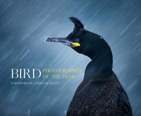BIRD PHOTOGRAPHER OF THE YEAR: Foreword by Chris Packham