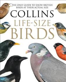 COLLINS LIFE-SIZE BIRDS: The Only Guide to Show British Birds at their Actual Size: The Only Guide to Show British Birds at their Actual Size