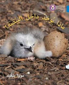 Collins Big Cat Arabic Reading Programme — WHAT'S IN THE EGG?: Level 4: (Level 4)