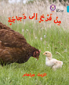 Collins Big Cat Arabic Reading Programme — CHICK TO HEN: Level 7: (Level 7)
