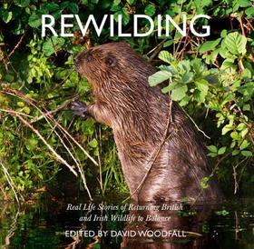 REWILDING: Real Life Stories of Returning British and Irish Wildlife to Balance: Real Life Stories of Returning British and Irish Wildlife to Balance