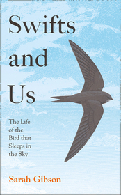 SWIFTS AND US: The Life of the Bird that Sleeps in the Sky: The Life of the Bird That Sleeps in the Sky