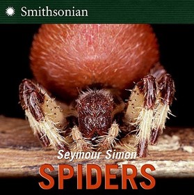 Spiders Spiders