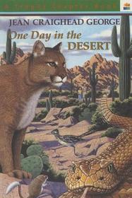 One Day in the Desert: One Day in the Desert