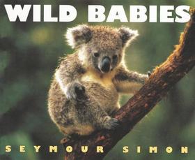 Wild Babies: Everything You Need to Know about *Why We Have Them *What They Mean *And How to Put Them to Work for You
