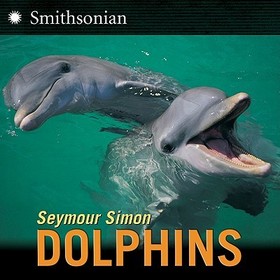 Dolphins Dolphins