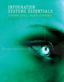 Information Systems Essentials with MISource 2007