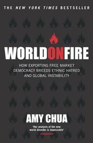 World On Fire: How Exporting Free Market Democracy Breeds Ethnic Hatred & Global Instability