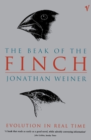 The Beak Of The Finch
