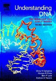 Understanding DNA: The Molecule and How it Works Understanding DNA: The Molecule and How it Works