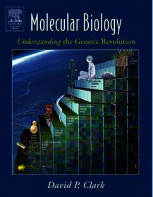 Molecular Biology: Academic Cell Update Edition