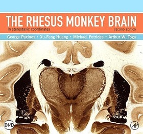The Rhesus Monkey Brain in Stereotaxic Coordinates