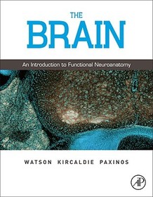 The Brain: An Introduction to Functional Neuroanatomy