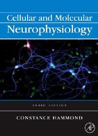 Cellular and Molecular Neurophysiology: Biology, Technology and Evaluation