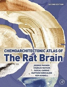 Chemoarchitectonic Atlas of the Rat Brain: The New Anatomy of the Basal Forebrain and Its Implications for Neuropsychiatric Illness