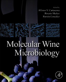 Molecular Wine Microbiology