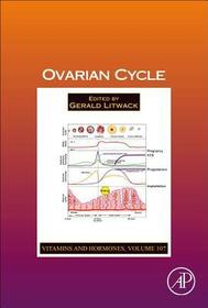 Ovarian Cycle