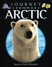 Journey Into the Arctic