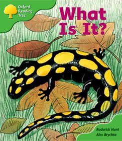 Oxford Reading Tree: Stage 2: More Patterned Stories A: What Is It?