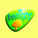 Oxford Reading Tree: Y6/P7: TreeTops Comprehension: Easy Buy Pack