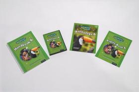 Read Write Inc. Comprehension Plus: Y6: Easy Buy Pack