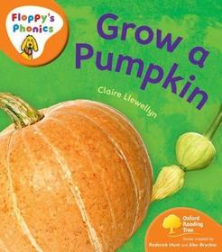 Oxford Reading Tree: Stage 6: Floppy's Phonics Non-Fiction: Class Pack of 36 (6 of each title)