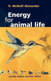Energy for Animal Life