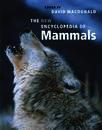 New Encyclopedia of Mammals