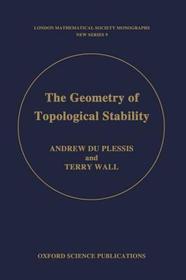 The Geometry of Topological Stability