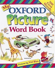 MY FIRST PICTURE BOOK