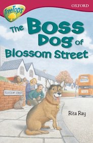 Oxford Reading Tree: Level 10: TreeTops Fiction: Pack of 6 (1 of each title)