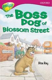 Oxford Reading Tree: Level 10: TreeTops Fiction: Class Pack (36 books, 6 of each title)