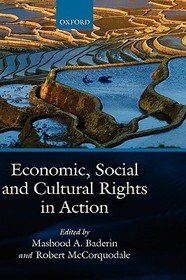 Economic, Social, and Cultural Rights in Action
