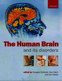 The Human Brain and its Disorders