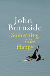 Something Like Happy: Ausgezeichnet: Saltire Society Scottish Book of the Year Award 2013, Ausgezeichnet: The Edge Hill Short Story Prize 2014