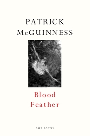 Blood Feather: ‘He writes with Proustian élan and Nabokovian delight’ John Banville