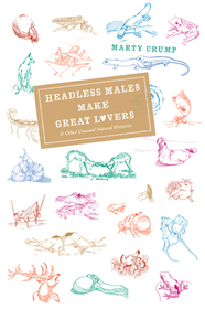 Headless Males Make Great Lovers – And Other Unusual Natural Histories: And Other Unusual Natural Histories
