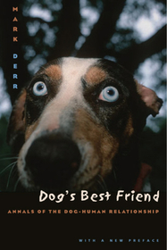 Dog`s Best Friend – Annals of the Dog–Human Relationship: Tumor Angiogenesis