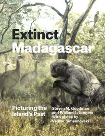 Extinct Madagascar – Picturing the Island`s Past