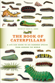 The Book of Caterpillars – A Life–Size Guide to Six Hundred Species from around the World: A Life-Size Guide to Six Hundred Species from Around the World