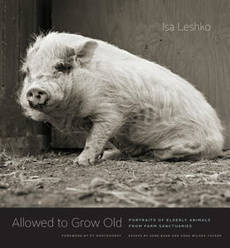 Allowed to Grow Old – Portraits of Elderly Animals from Farm Sanctuaries: Portraits of Elderly Animals from Farm Sanctuaries
