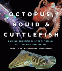 Octopus, Squid, and Cuttlefish – A Visual, Scientific Guide to the Oceans′ Most Advanced Invertebrates: A Visual, Scientific Guide to the Oceans' Most Advanced Invertebrates
