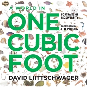 A World in One Cubic Foot – Portraits of Biodiversity