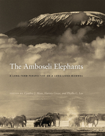 The Amboseli Elephants – A Long–Term Perspective on a Long–Lived Mammal: Kitchen and Bath Design