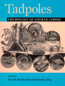 Tadpoles – The Biology of Anuran Larvae: The Biology of Anuran Larvae