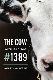 The Cow with Ear Tag