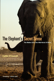 The Elephant`s Secret Sense – The Hidden Life of the Wild Herds of Africa: The Hidden Life of the Wild Herds of Africa