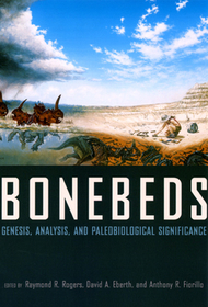 Bonebeds – Genesis, Analysis, and Paleobiological Significance: Intermediate Probability
