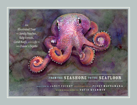 From the Seashore to the Seafloor – An Illustrated Tour of Sandy Beaches, Kelp Forests, Coral Reefs, and Life in the Ocean`s Depths